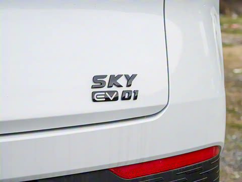 2024�� 530km PRO��Ӣ��