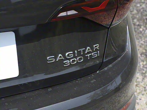 2025�� �Ŀ�� 300TSI DSG��Խ��