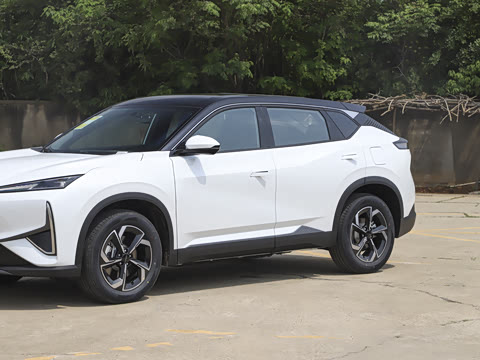 2025�� 205��������������