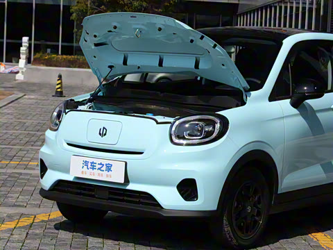 2025�� 310������