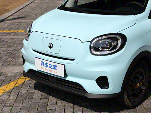 2025�� 310������