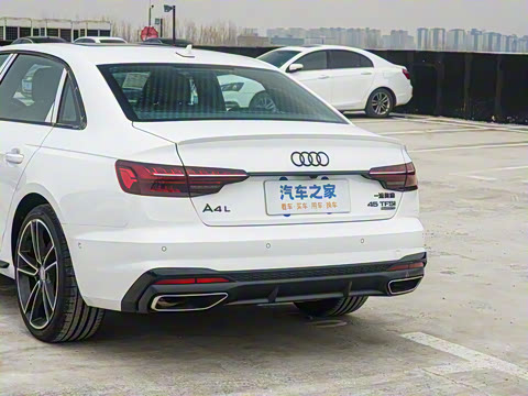 2025�� 200���������� 45 TFSI quattro ��ѡ������