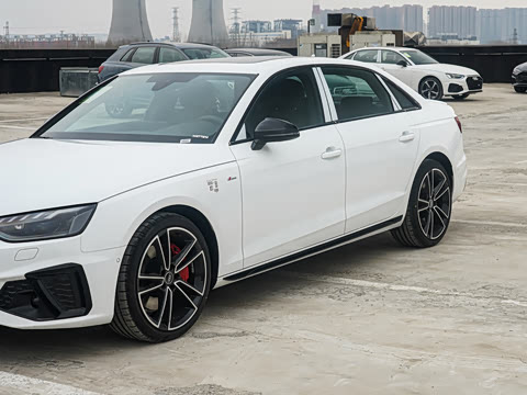 2025�� 200���������� 45 TFSI quattro ��ѡ������