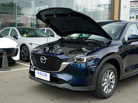 2025�� 2.0L �Զ�����������