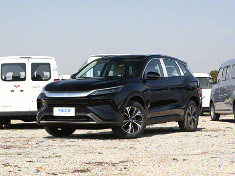 2025�� �ڶ��� DM-i 115KM��Խ��