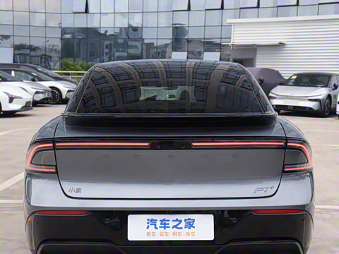 2024�� �������� Max