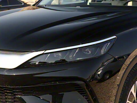 2025�� �ڶ��� DM-i 115KM��Խ��