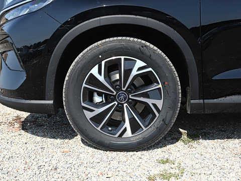 2025�� �ڶ��� DM-i 115KM��Խ��