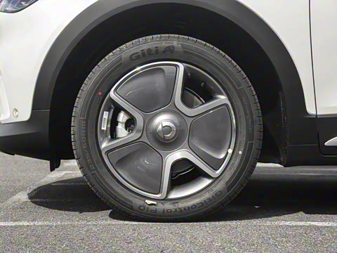 2024�� Pro+��