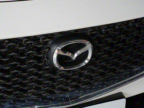 2024�� 2.0L �ֶ�������