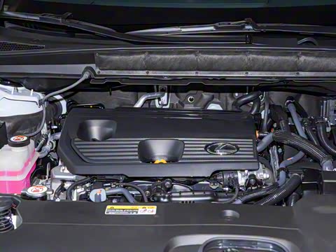 2025�� 350h ����������