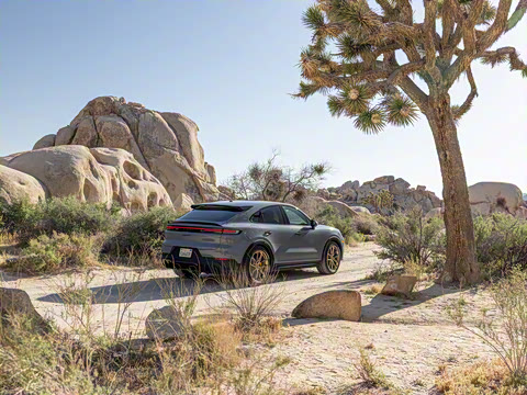 2025�� Cayenne Coup�� Turbo GT 4.0T