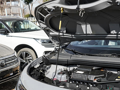 2025�� ������