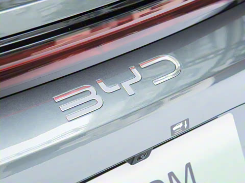 2025�� DM-p ���������״��콢��