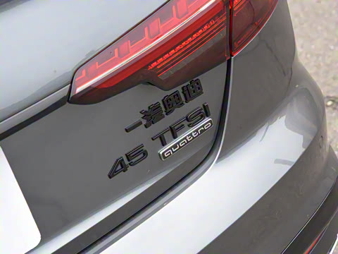 2025�� 200���������� 45 TFSI quattro ��ѡ������