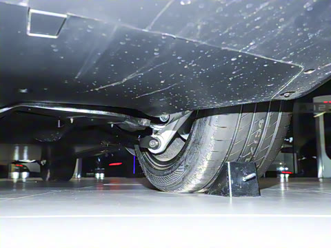 2025�� �������� �׷���