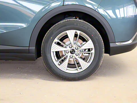 2025�� 565km ������