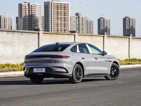 2025�� DM-i �Ǽݰ� 125KM��Ӣ��