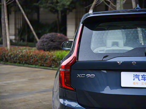 2025�� �Ŀ� T8 ��������� 7��