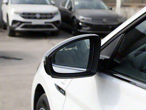 2025�� 300TSI DSG��Խ��