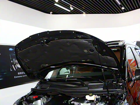 2025�� ��������1930��ʼ������