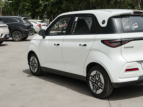 2025�� 305km ������