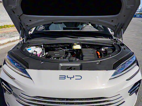 2025�� DM-i �Ǽݰ� 112KM ������