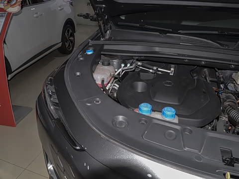 2024�� �ǵ�iDD 1.5T 135km������