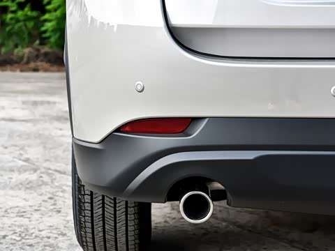 2025�� 2.0L �Զ���������Pro