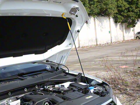 2024�� 300TSI DSG���������