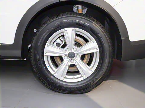 2025�� 1.5T �ֶ���Խ�� 7��