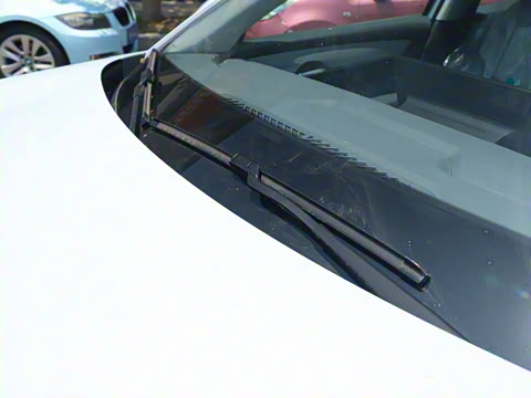 2025�� 445km ���ð�