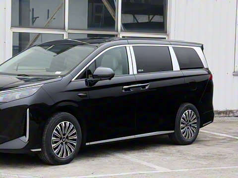 2025�� DM-i 1.5T 100km ��Խ��