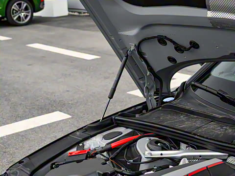 2024��  RS4 Avant ȼ���