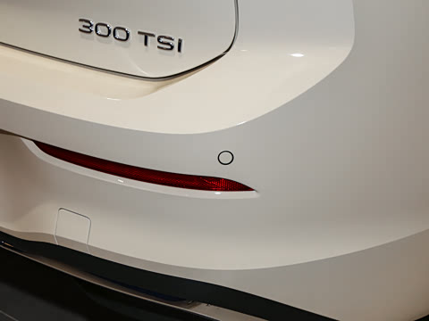 2025�� 300TSI Pro