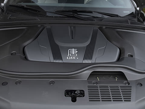 2025�� �Ǽݰ� DM-i 115KM �����