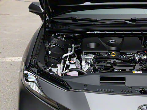 2025�� ˫�� 2.0HXS ��԰�