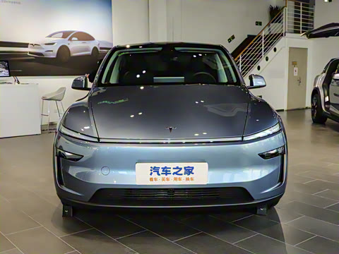 2025�� �������� �׷���