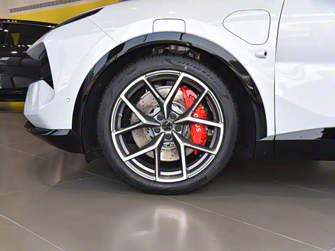 2025�� �����׷�������