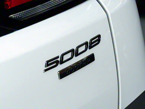 2025�� ������