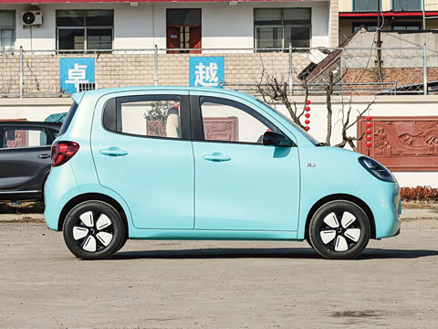 2025�� ���Ű� ���׿�