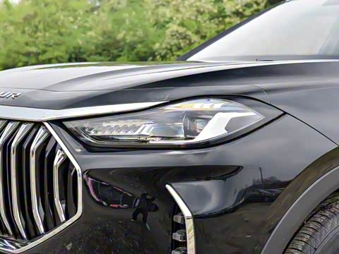 2024�� �ھ��� 1.5T �ֶ��ھ� 5��