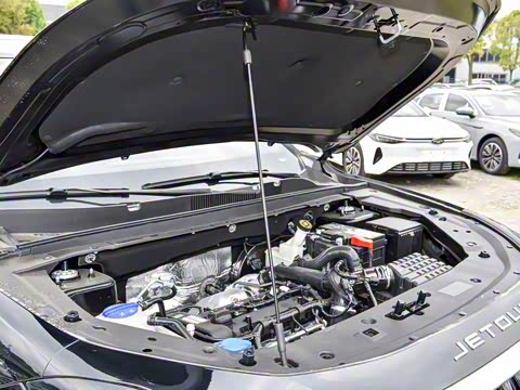 2024�� �ھ��� 1.5T �ֶ��ھ� 5��