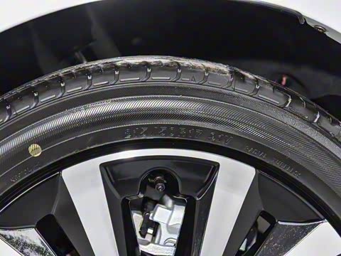 2025�� 2.0L e:HEV �춯Plus