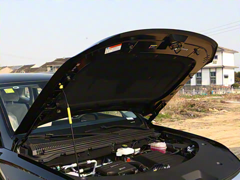 2025�� �ڶ��� �Ǽݰ� DM-i 75KM������