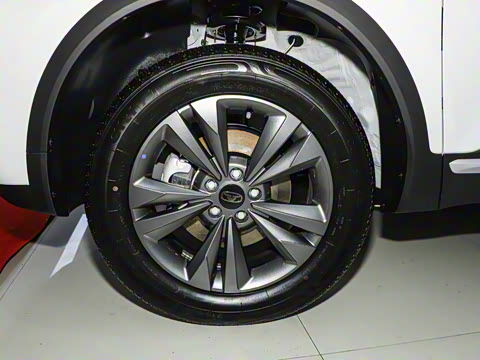 2025�� 1.5L �ֶ�������