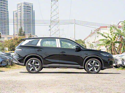 2025�� DM-i �Ǽݰ� 115KM�콢��