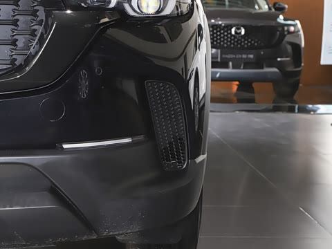 2024�� 2.5L ���а�