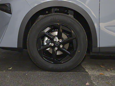 2024�� 520 ���а�