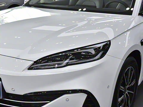 2025�� DM-i 80KM�����